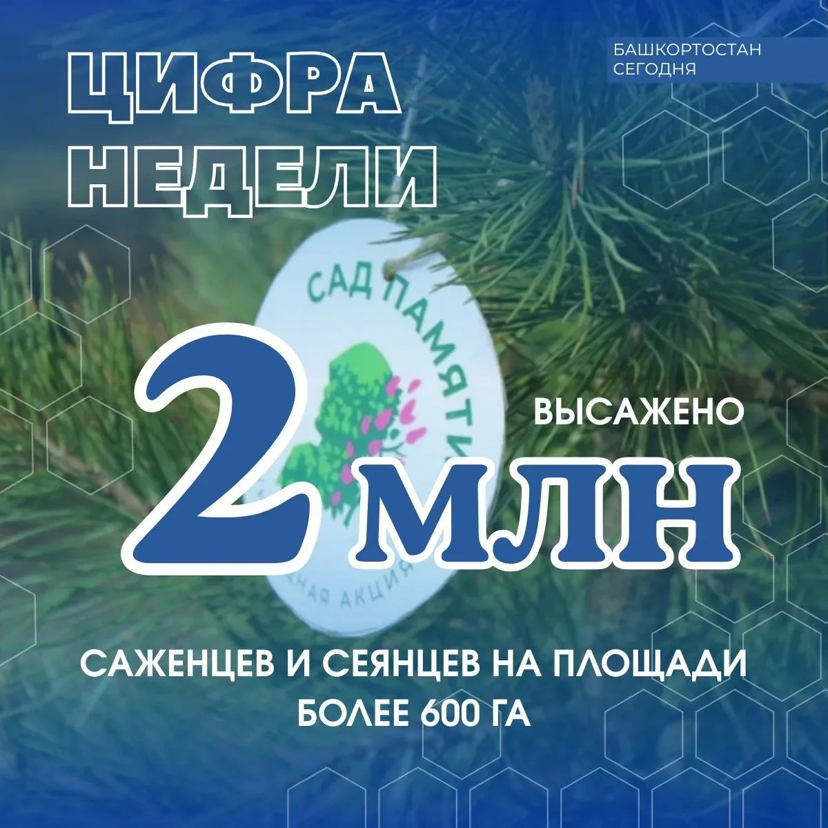 2 млн саженцев и сеянцев высадили в Башкортостане в рамках международной акции «Сад пам...