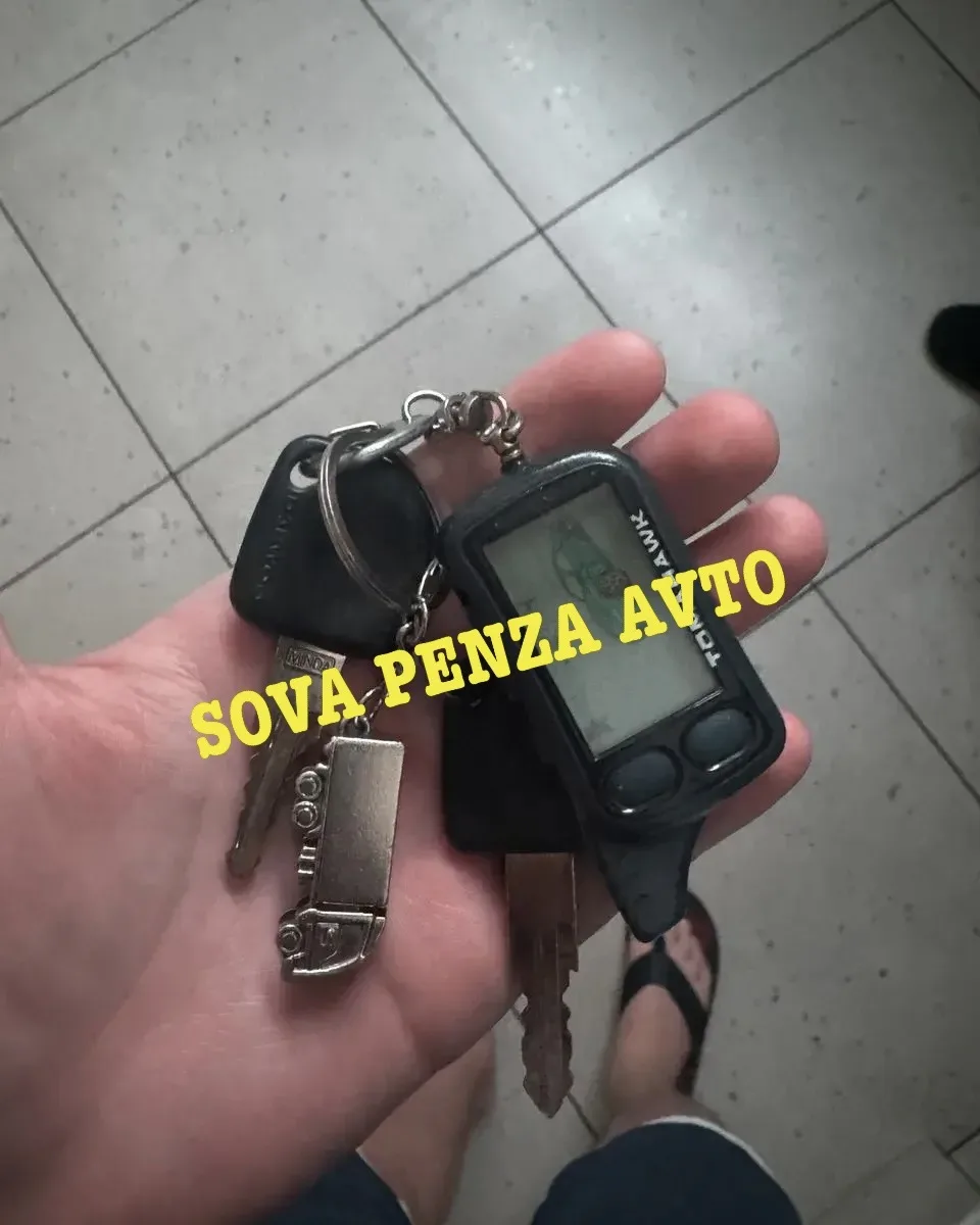Найдены ключи с сигналкой. Рядом с ТЦ "Застава" Генерала Глазунова 1.
Рядом с парковкой у Ключа Здор