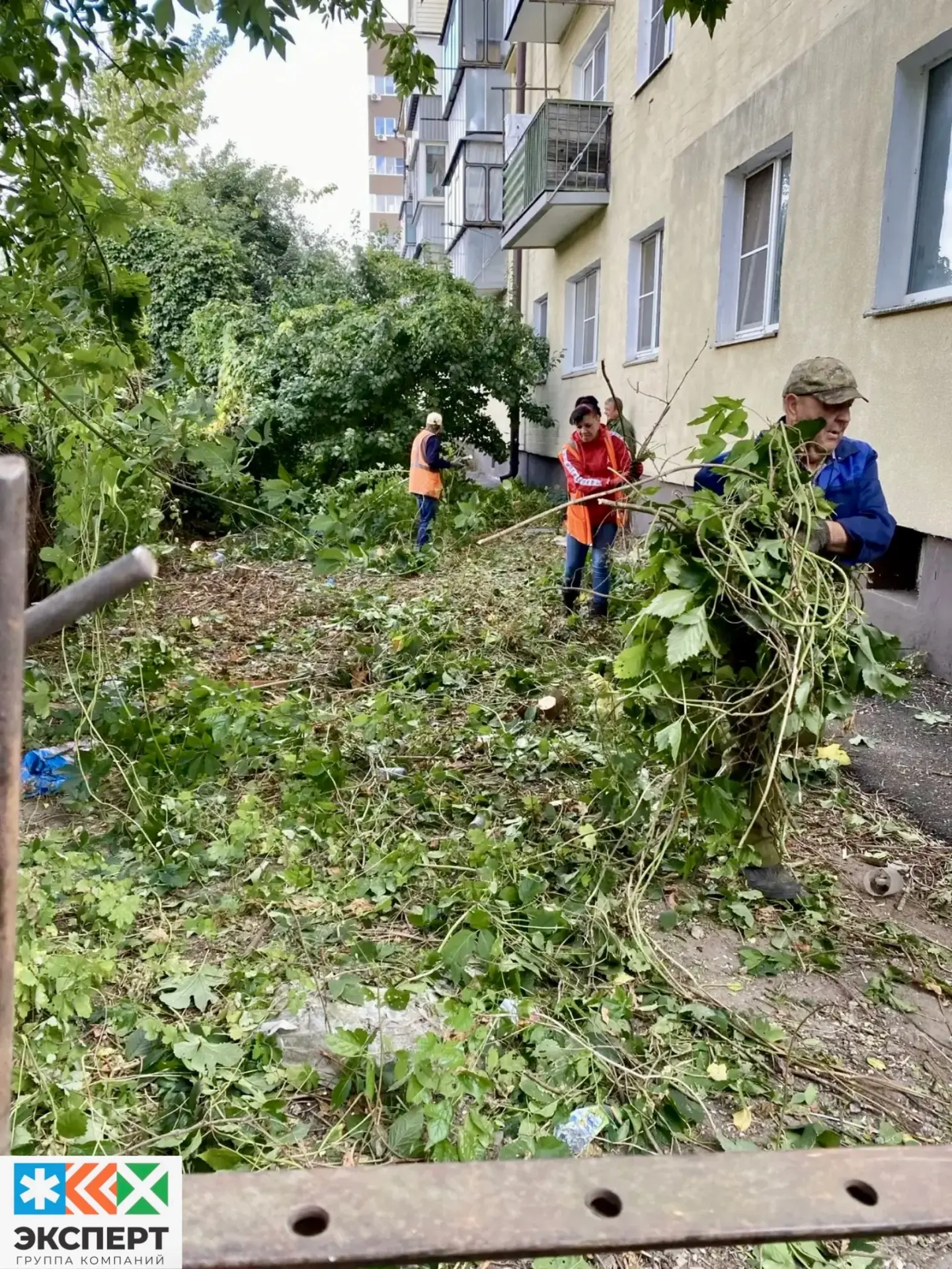 ООО «ГУК N1» произвела погрузку и вывоз древесных остатков, по адресу: ул.Маяковского, ...