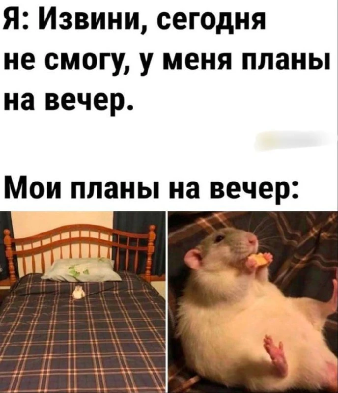 КУКУРУЗА 🌽