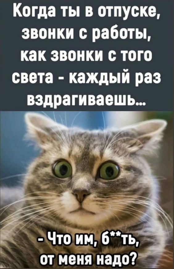 Женское настроение💃