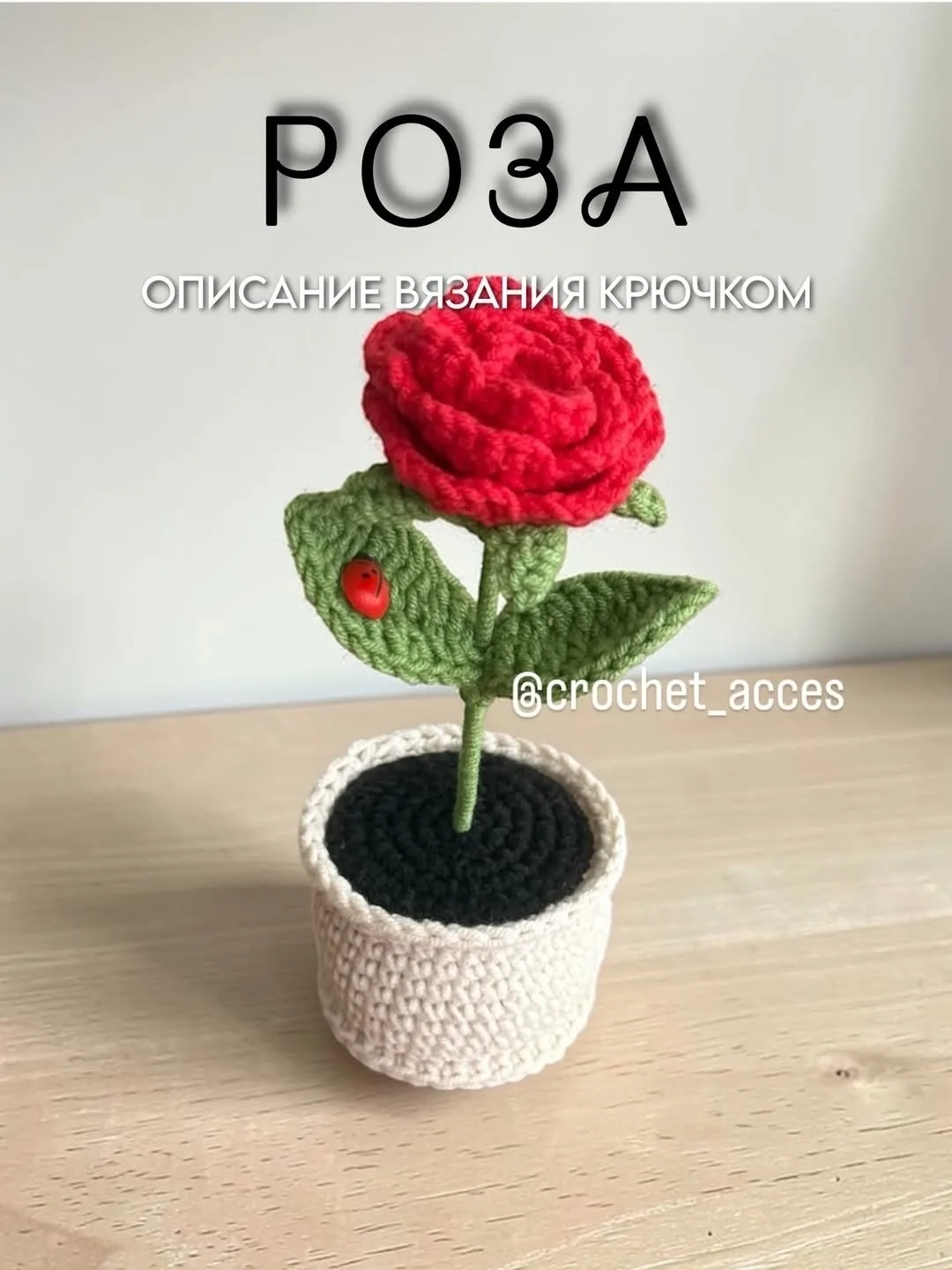 Роза в горшочке