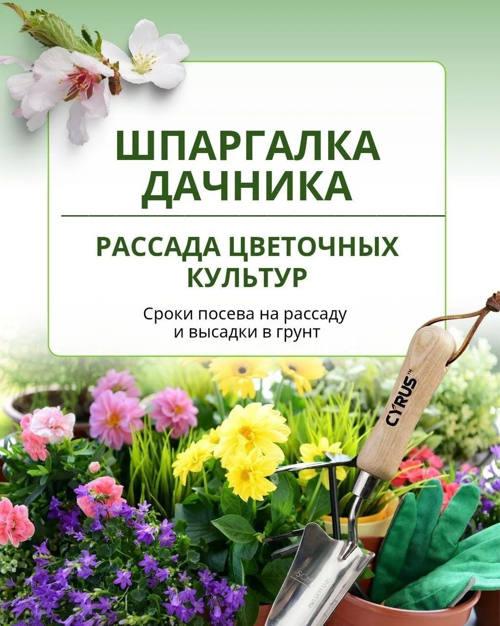 Шпаргалка "Рассада цветочных культур"

🏡 Дача и Сад