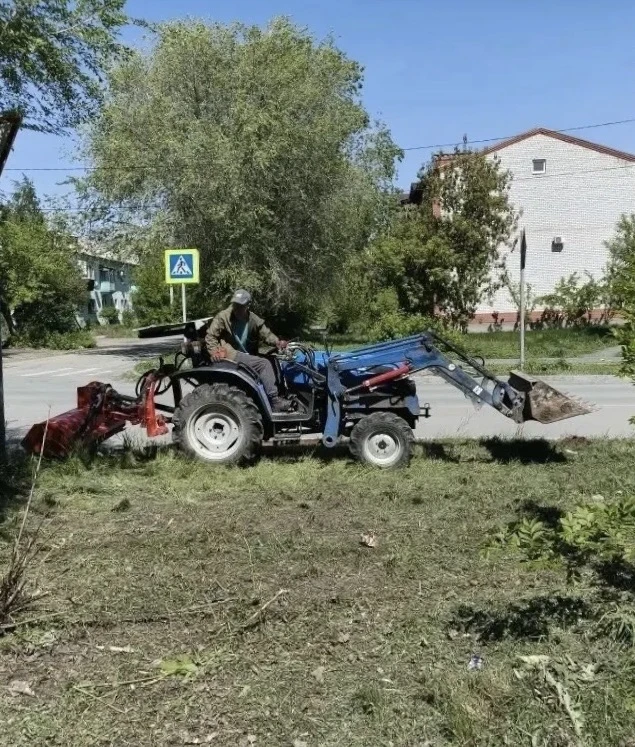 Добрый день, друзья!  Дождей в этом году много. Хорошо для садов и огородов, плохо для аллергиков. С