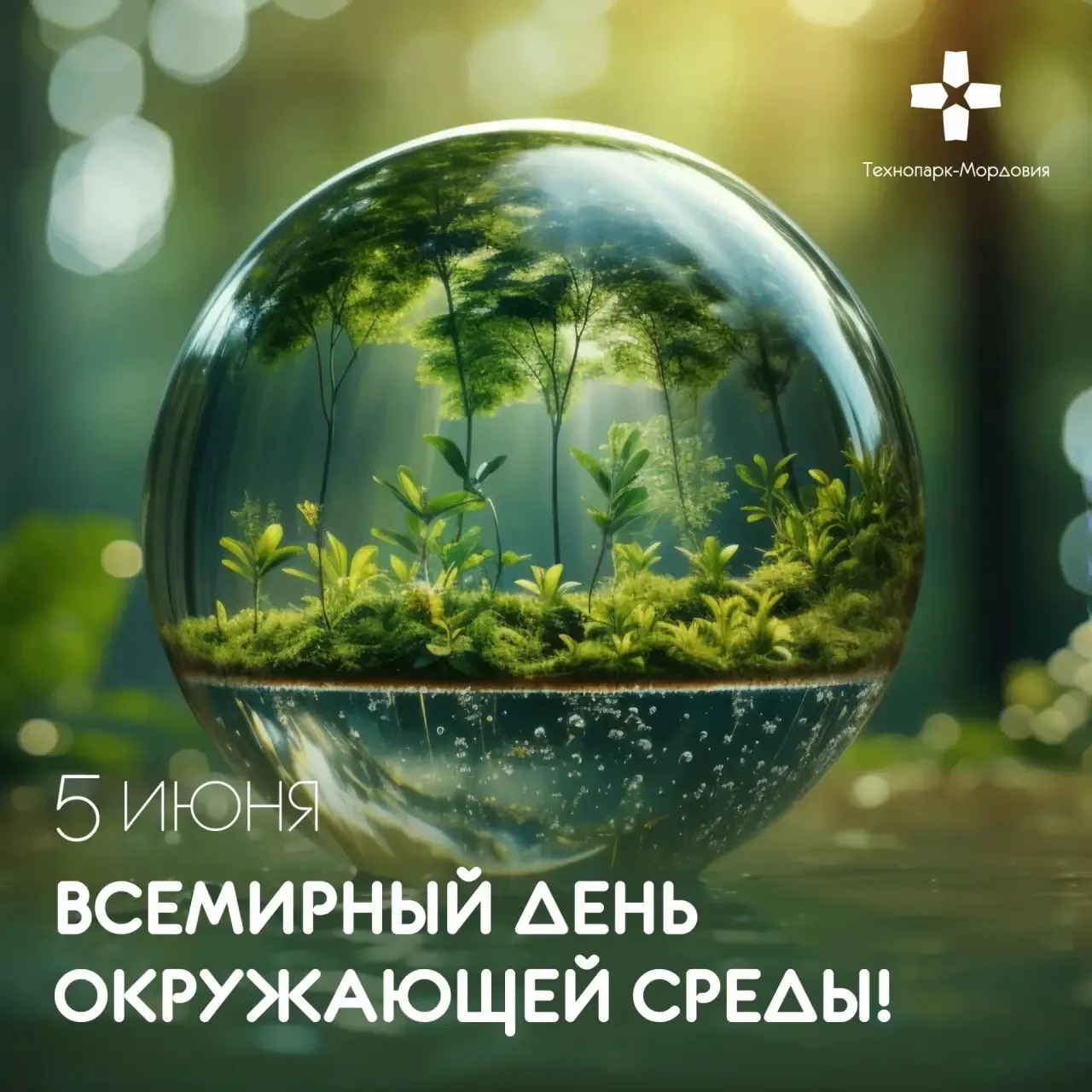 🌏Со Всемирным днём окружающей среды!