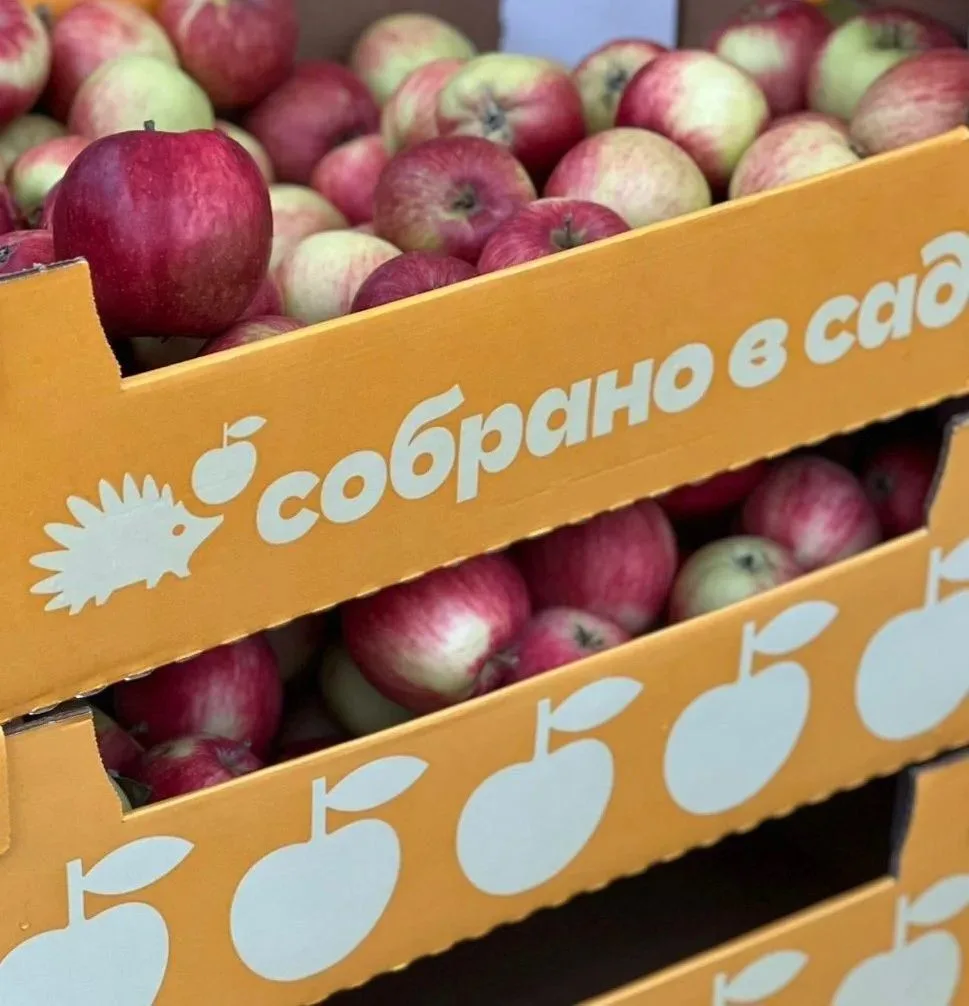 🍎 Яблочный Спас — время сладких хрустов и ароматных пирогов!