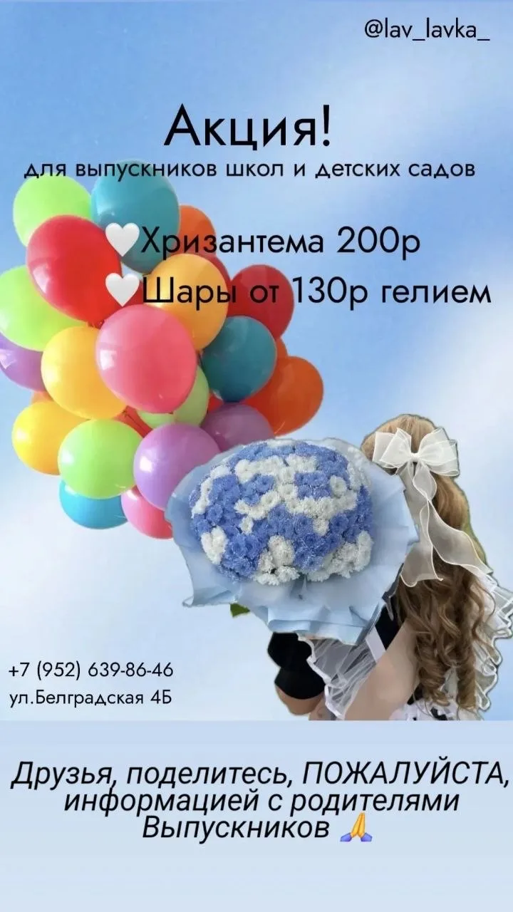 ДЛЯ ВЫПУСНИКОВ АКЦИЯ НА СВЕЖУЙ, СТОЙКУЮ, ПУШИСТУЮ ХРИЗАНТЕМУ