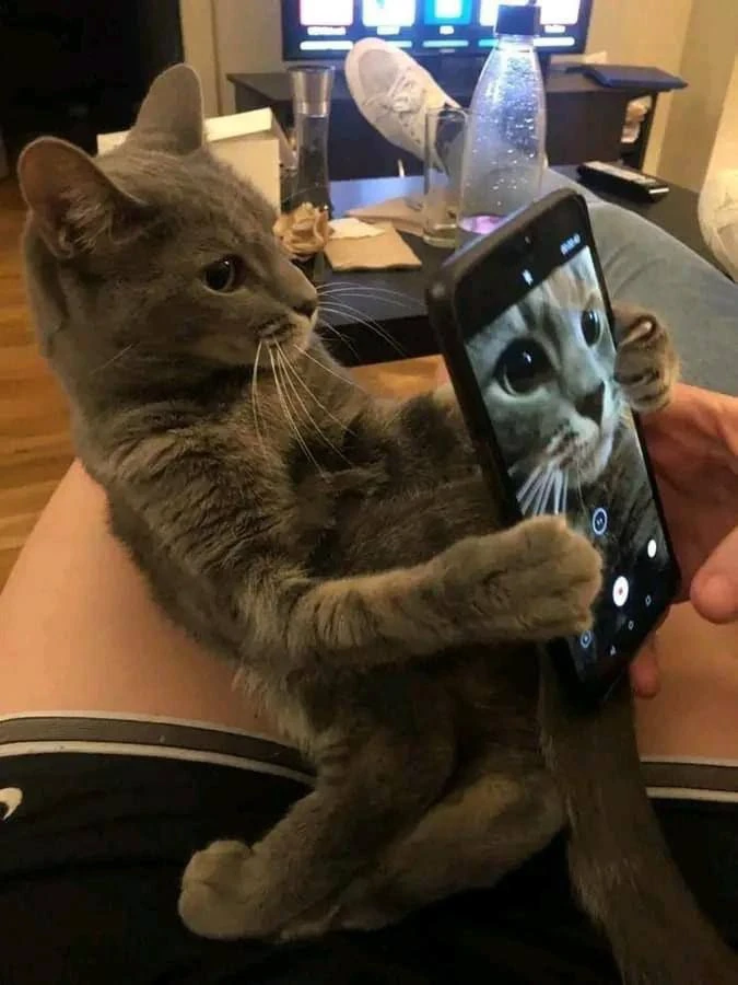 Место Встречи
