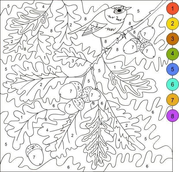🎨Раскраски по номерам