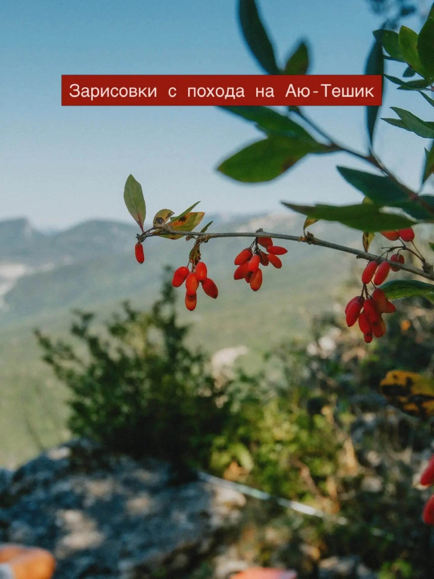 🍂 Место, которое обязательно нужно посетить когда наступит золотая осень