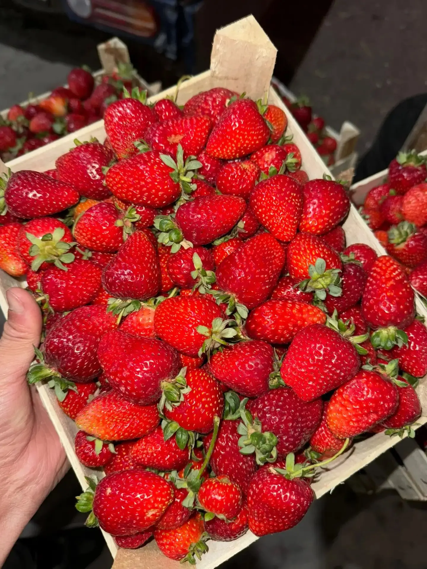 🍓 Завтра утром ждём свежую поставку ягод из Киргизии — сезон ягод заканчивается, так ч...
