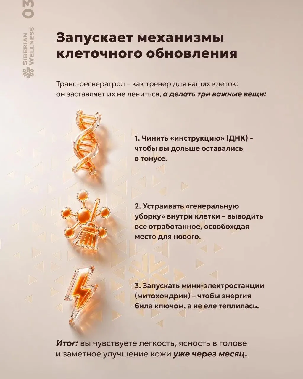 🌟 Вот что происходит с организмом после применения транс-ресвератрола от Siberian Well...