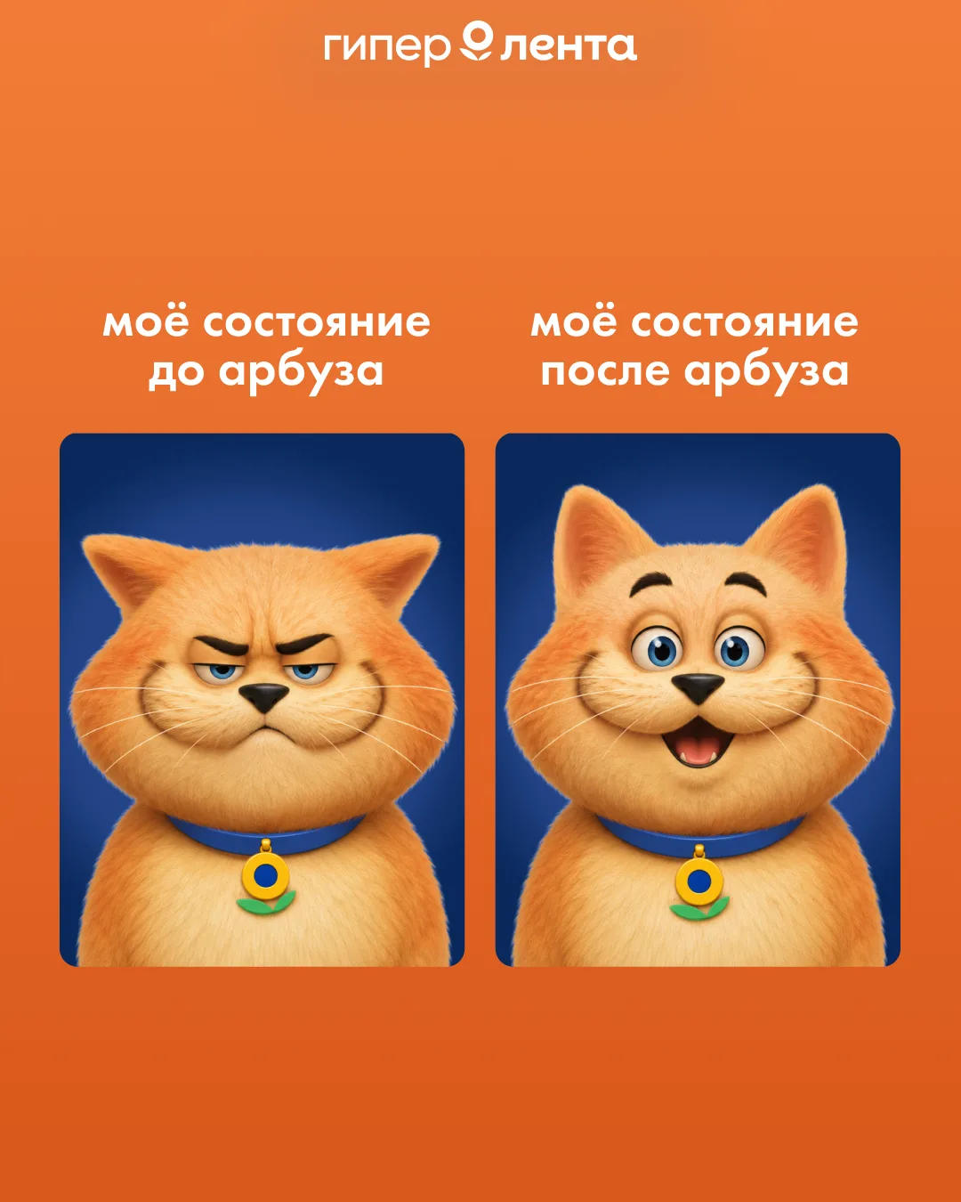 Жиза? 😁