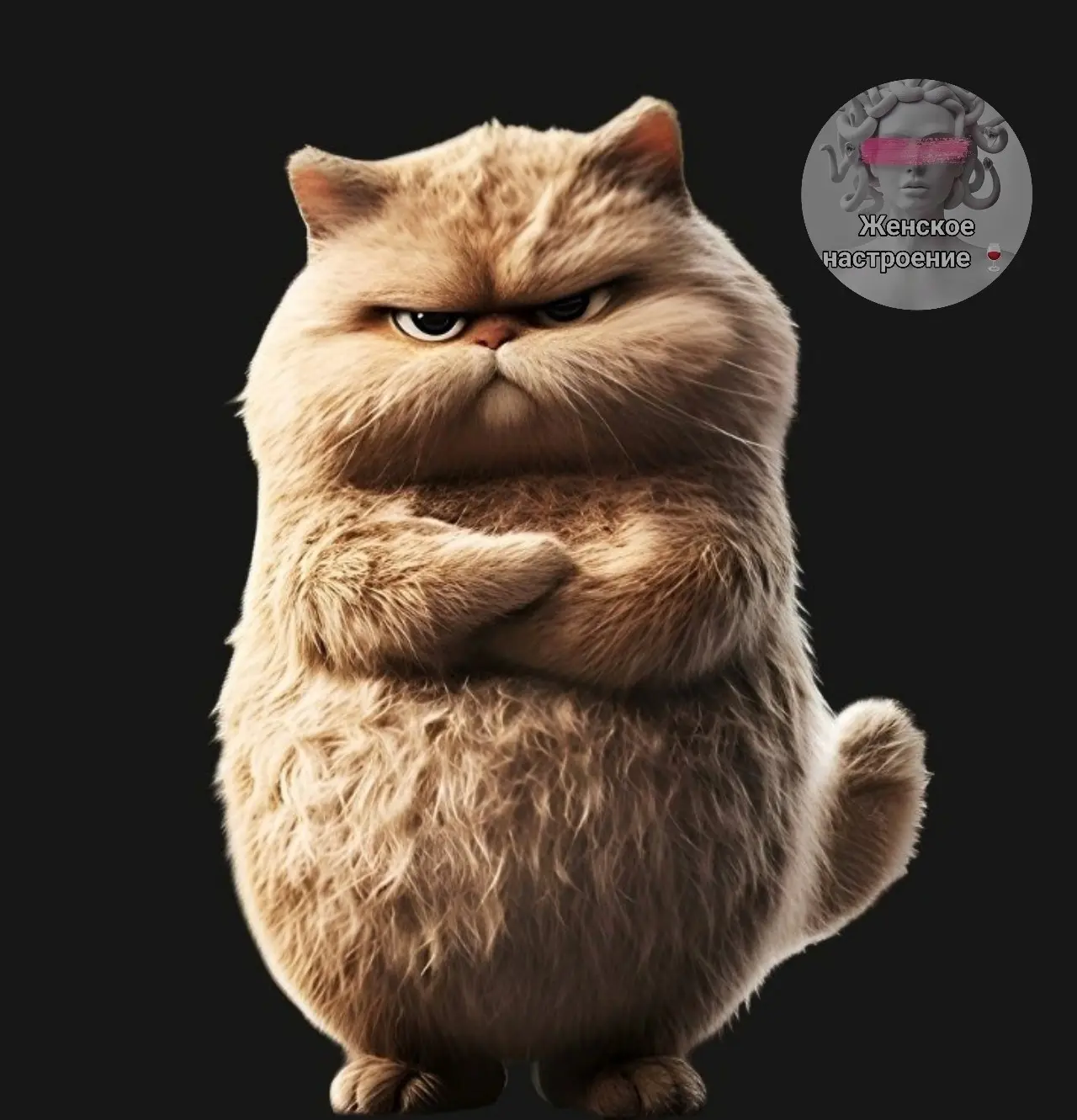 КОТУ НАДО ВЫДАТЬ МЕДАЛЬ 😂 
 
Целый месяц пилила дочь, что она не может найти время помыть кота. В о