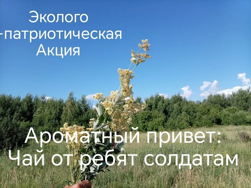 В рамках районного проекта" Время героев"провели эколого - патриотическую акцию с этапа...