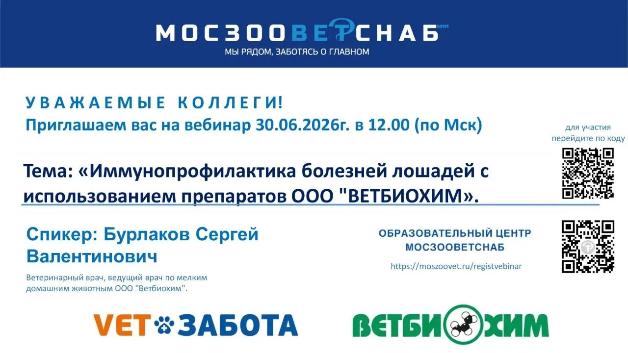 Уважаемые коллеги!