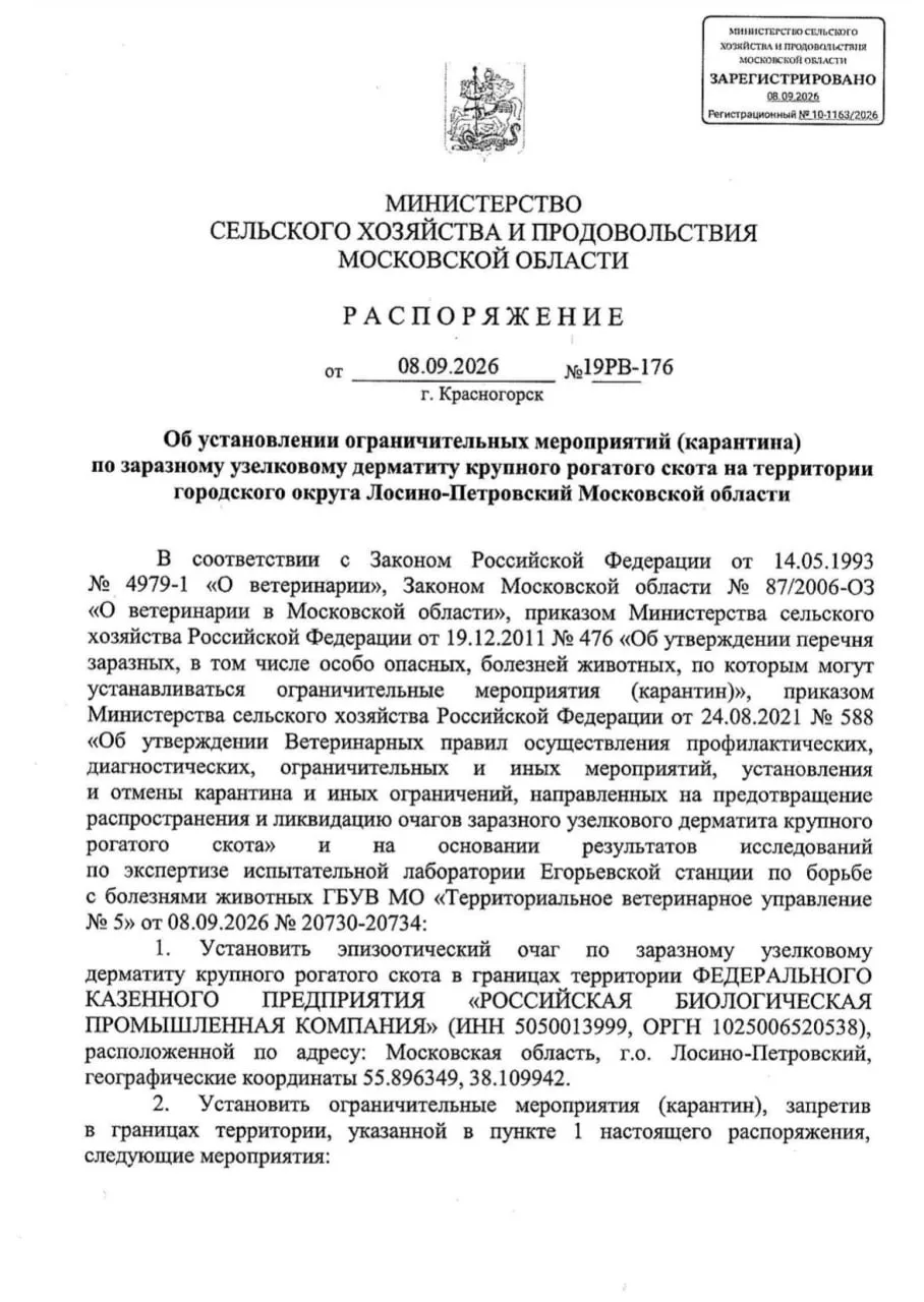 ‼  В Подмосковье объявили карантин из-за узелкового дерматита у крупного рогатого скота