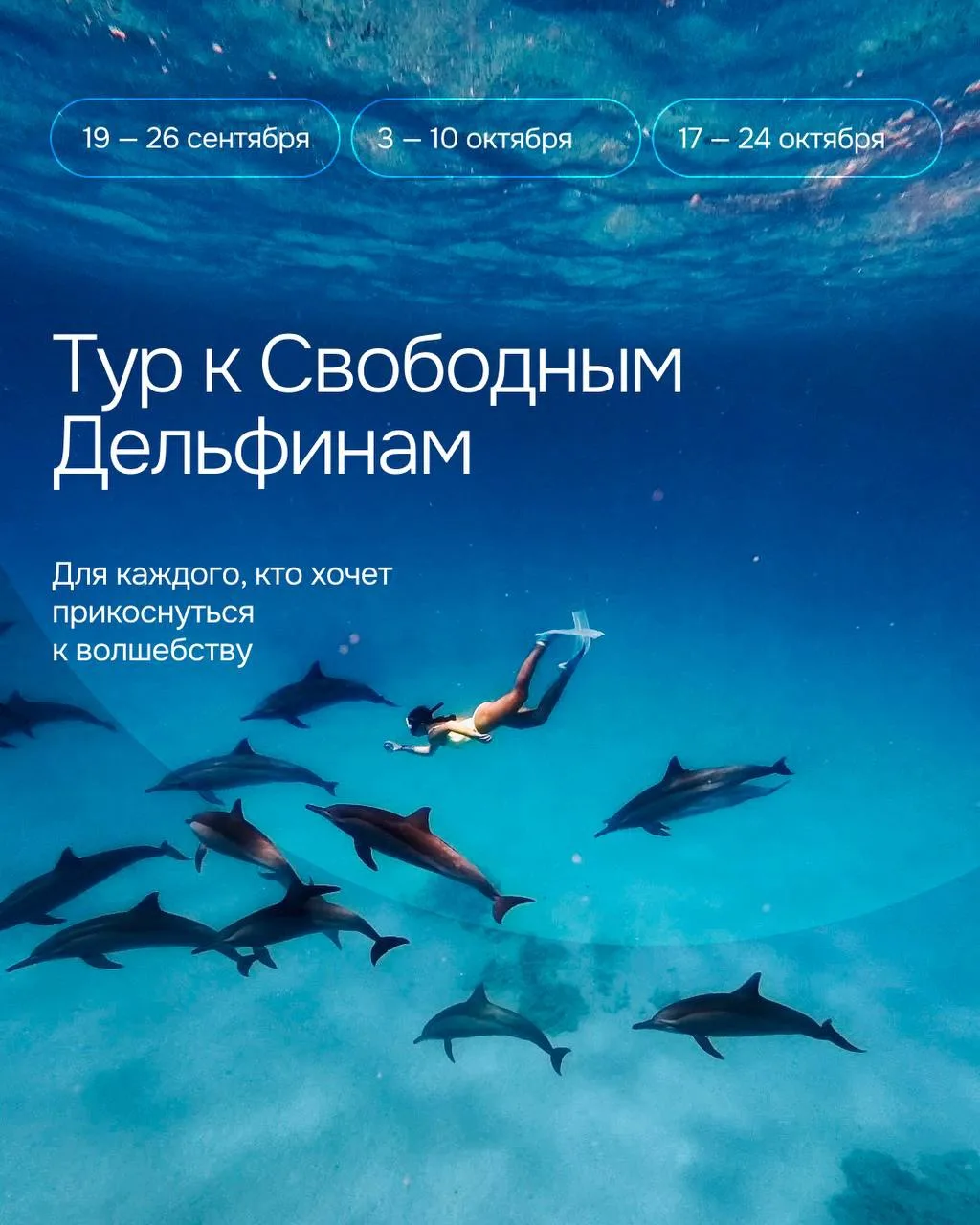 #эксклюзив