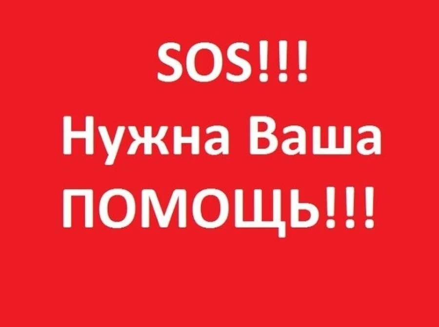 🆘🆘🆘
Друзья, просим вас помощи, на базе отмыва животных в Шепси глобальный переезд, нам не хватае