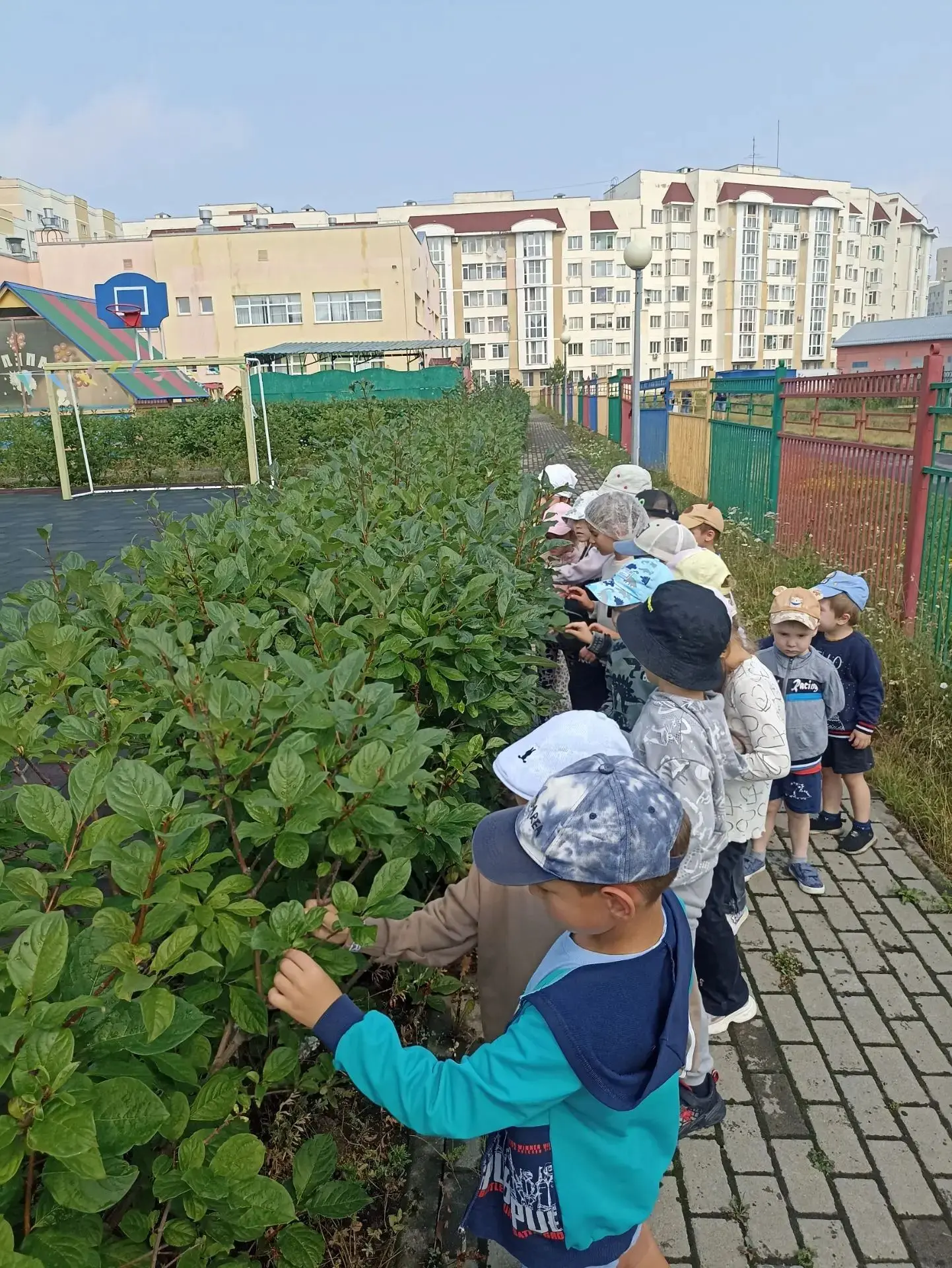 ❓ Вы когда-нибудь видели мир глазами ребёнка? 
После дождя огород в детском саду превратился в насто