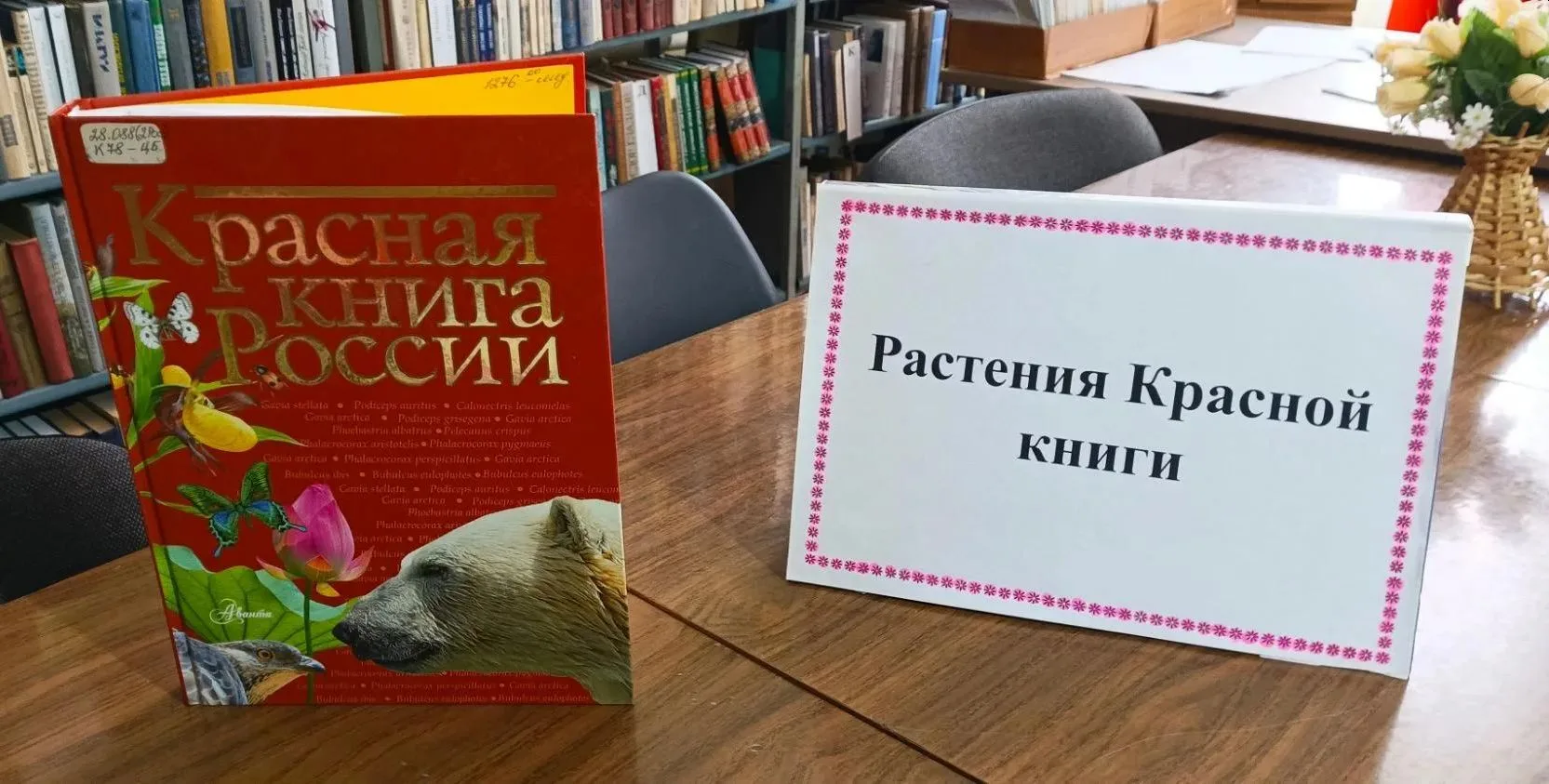 По страницам Красной книги