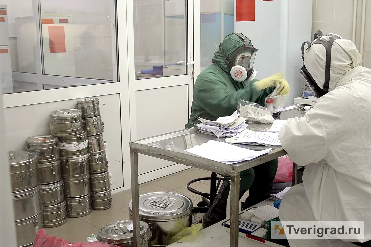 В Роспотребнадзоре сделали официальное заявление о смертельном хантавирусе  В мире регистрируются вс