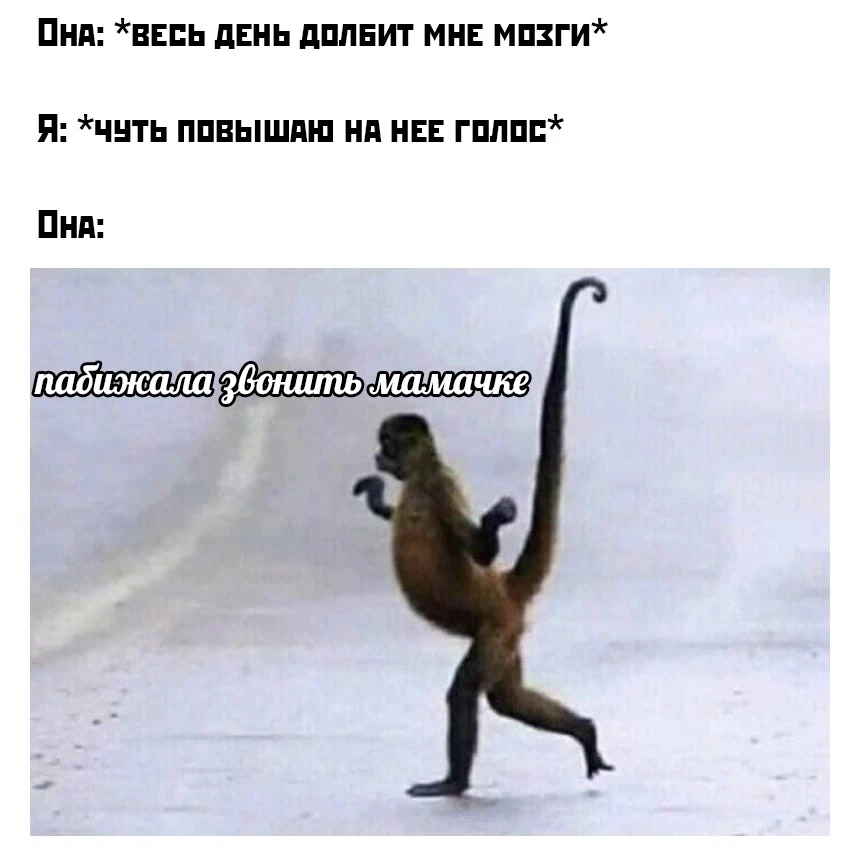 #мемы