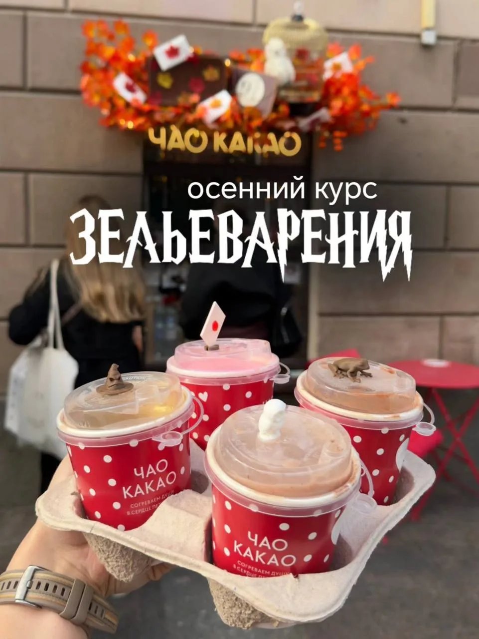 Если мы не едем в Хогвартс, значит Хогвартс едет к нам!