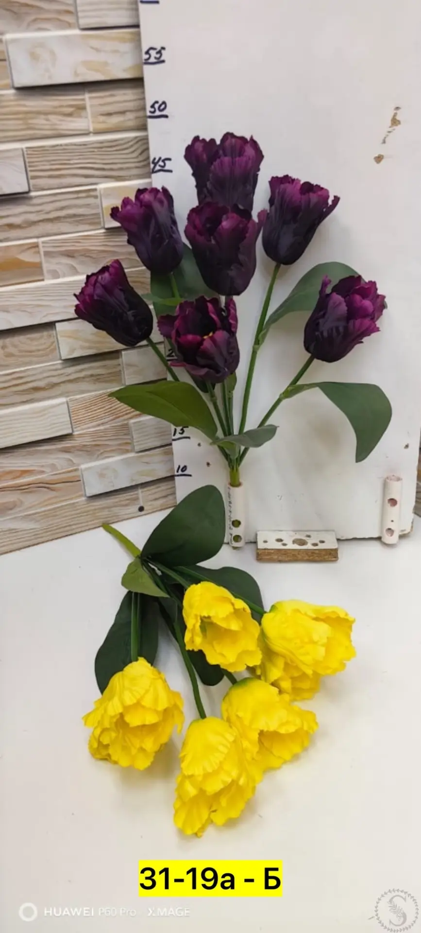 https://vk.com/photo-184814919_493004836