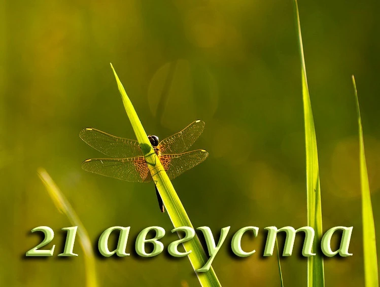 Сегодня 21 августа отмечаются праздники: