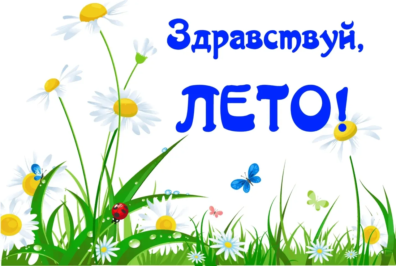 С 25 по 29 мая 2026 года в нашем детском саду прошла тематическая неделя «Здравствуй, лето!» 🌸. Для