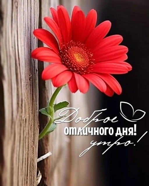 Доброго утра!