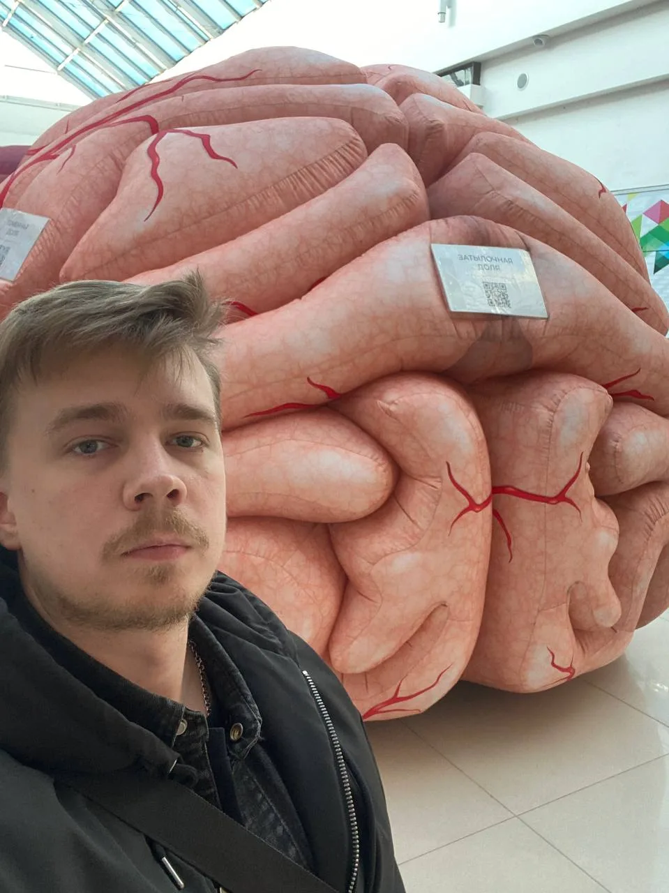 Гора мозгов посреди Питера