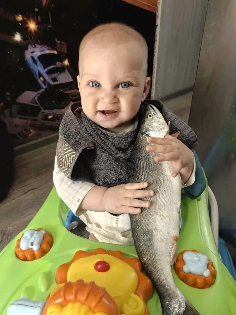 🧸🐟 У маленьких сахалинцев свои игрушки 😁

Рыбалка Сахалин


МАКС
ТЕЛЕГРАМ