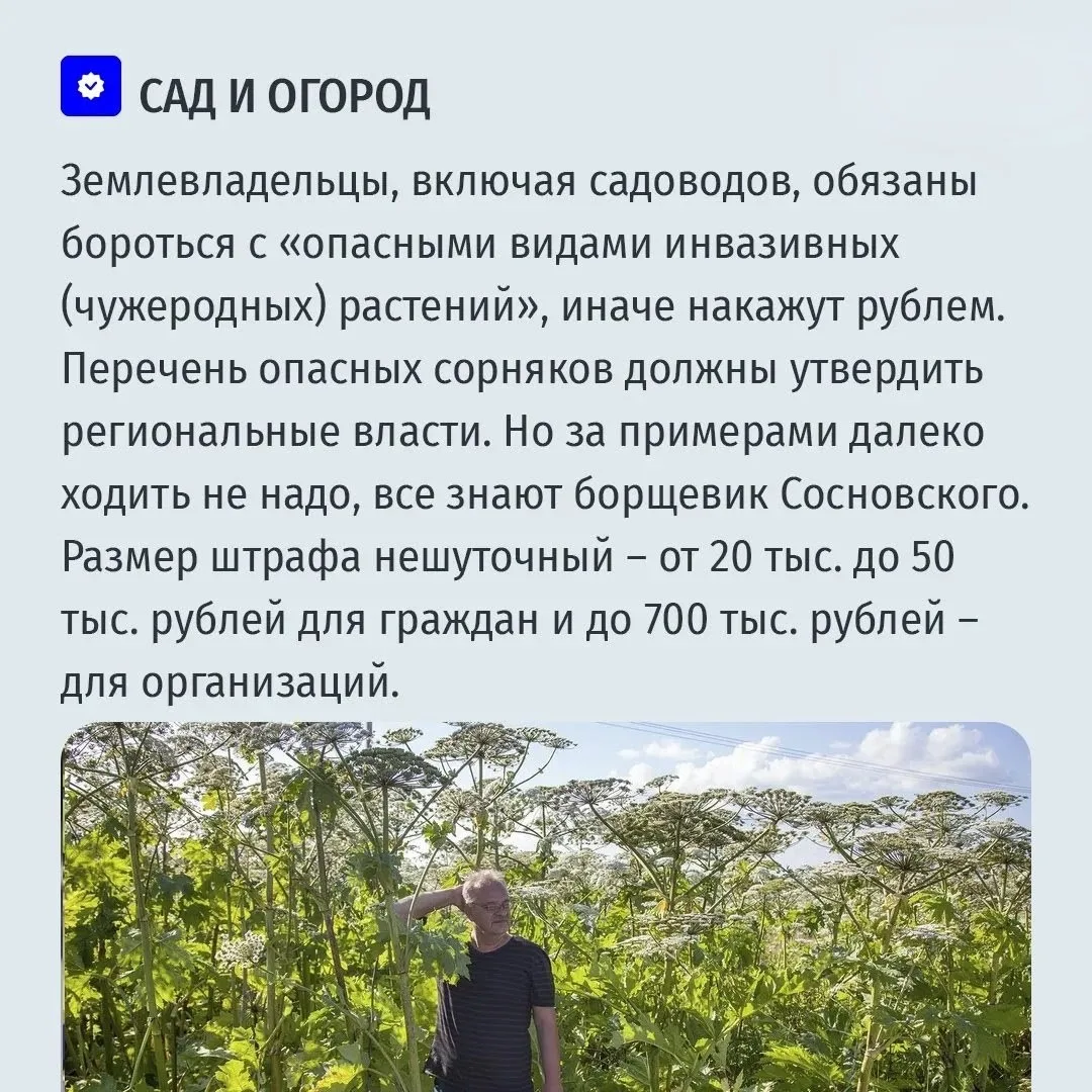 С 1 марта 2026 — порядок на улицах! 🚦