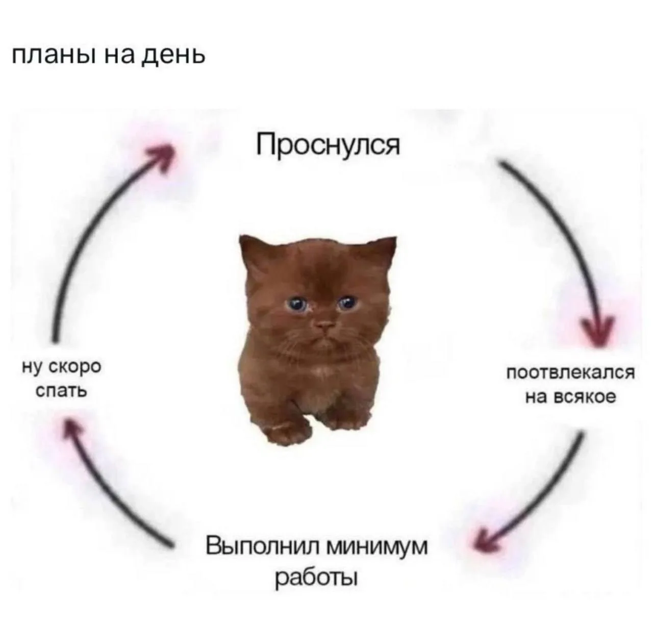 Доброе утро☀️

Какие планы на выходные?

Подписаться на Город Брянск
Предложить Новость