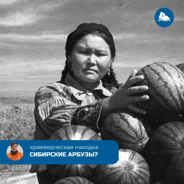 #краеведение_Доможаковlib
Сибирский арбуз: ягода с двухсотлетней выдержкой 
Арбузы - это давно уже н