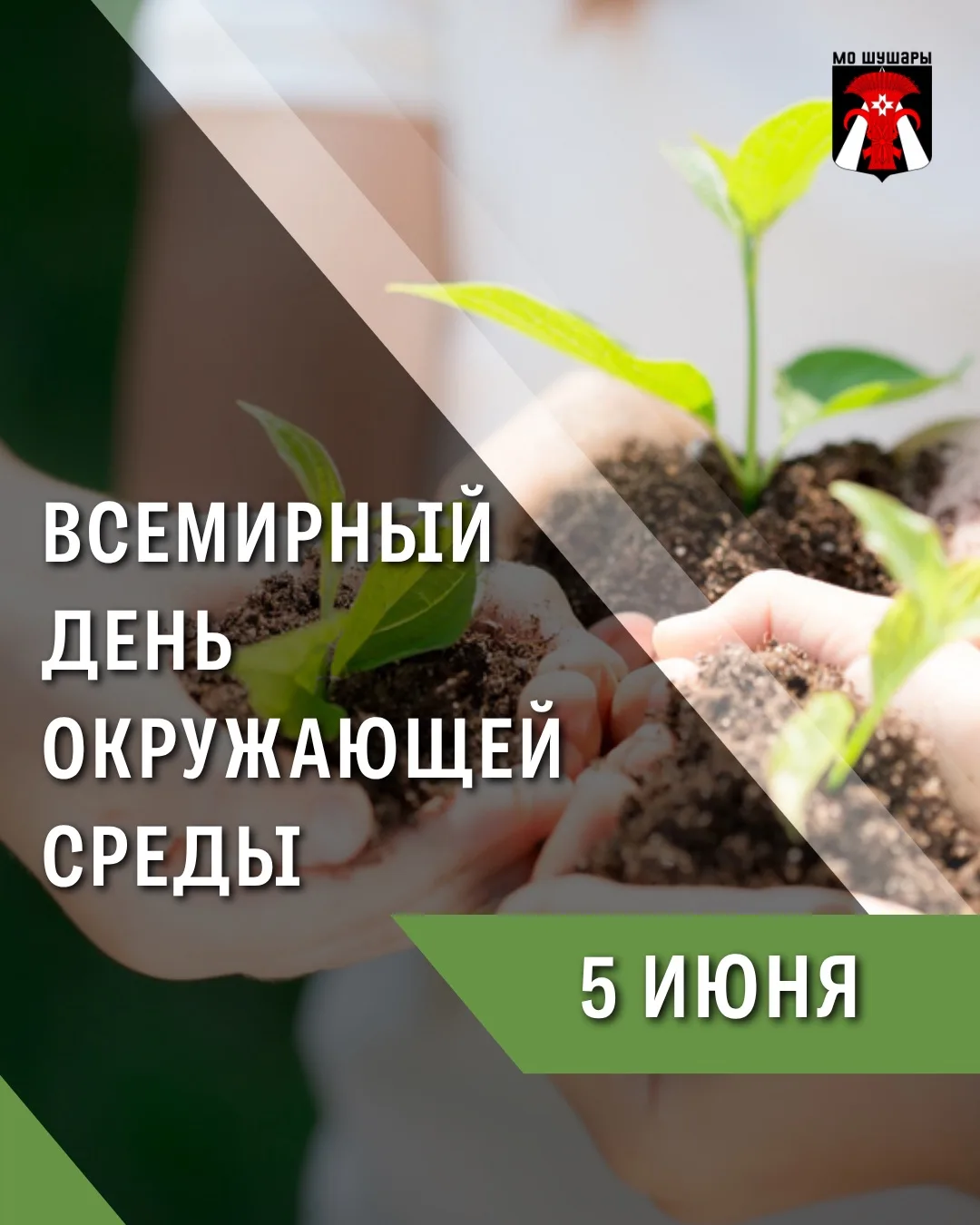 🌿5 июня отмечается Всемирный день окружающей среды