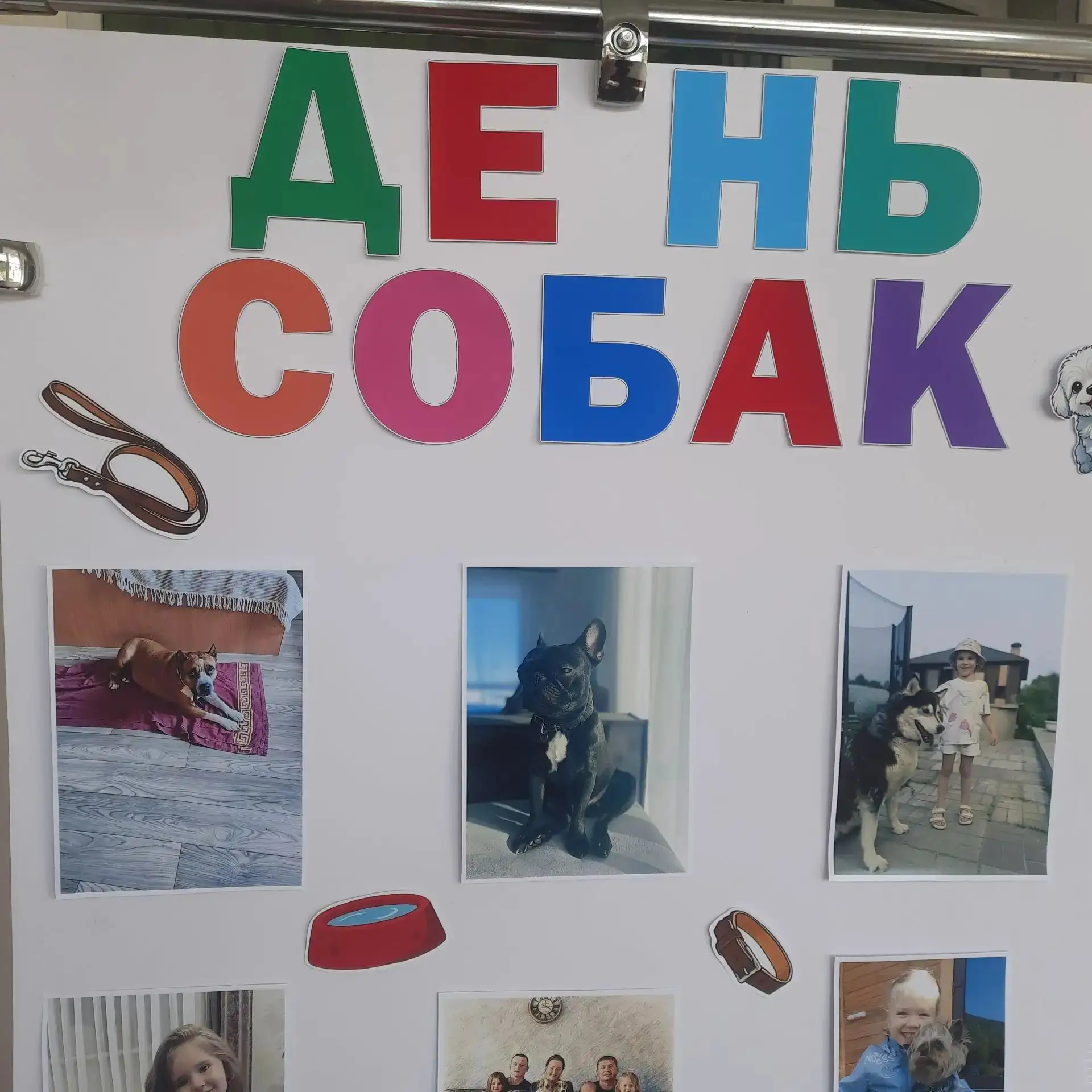 Наши верные друзья: в детском саду открылась особенная выставка! 🐾Говорят, что собака — лучший друг