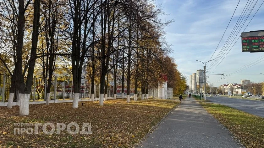 После ночных заморозков в воскресенье в Чувашии будет сухо и ясно