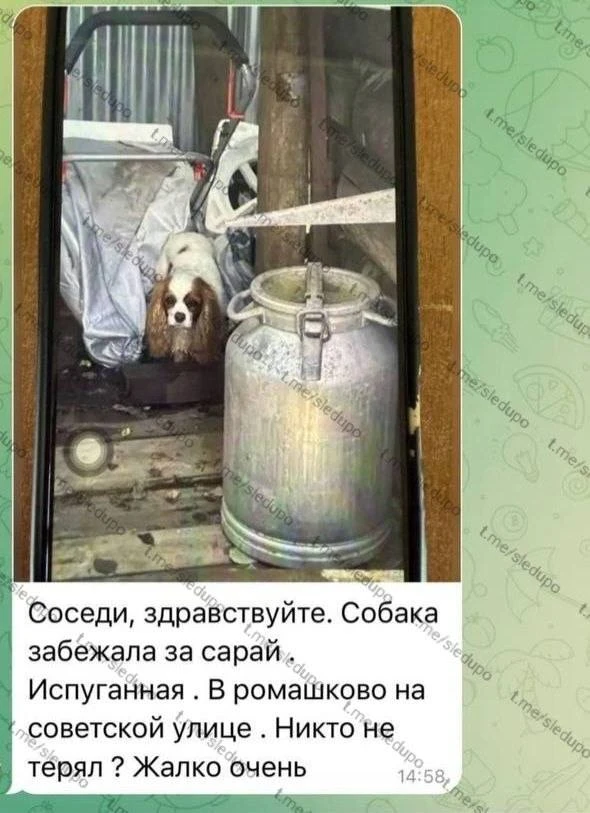 УБИЙСТВО В ПОДМОСКОВЬЕ | ПОЯВИЛИСЬ НОВЫЕ ЖУТКИЕ ПОДРОБНОСТИ
