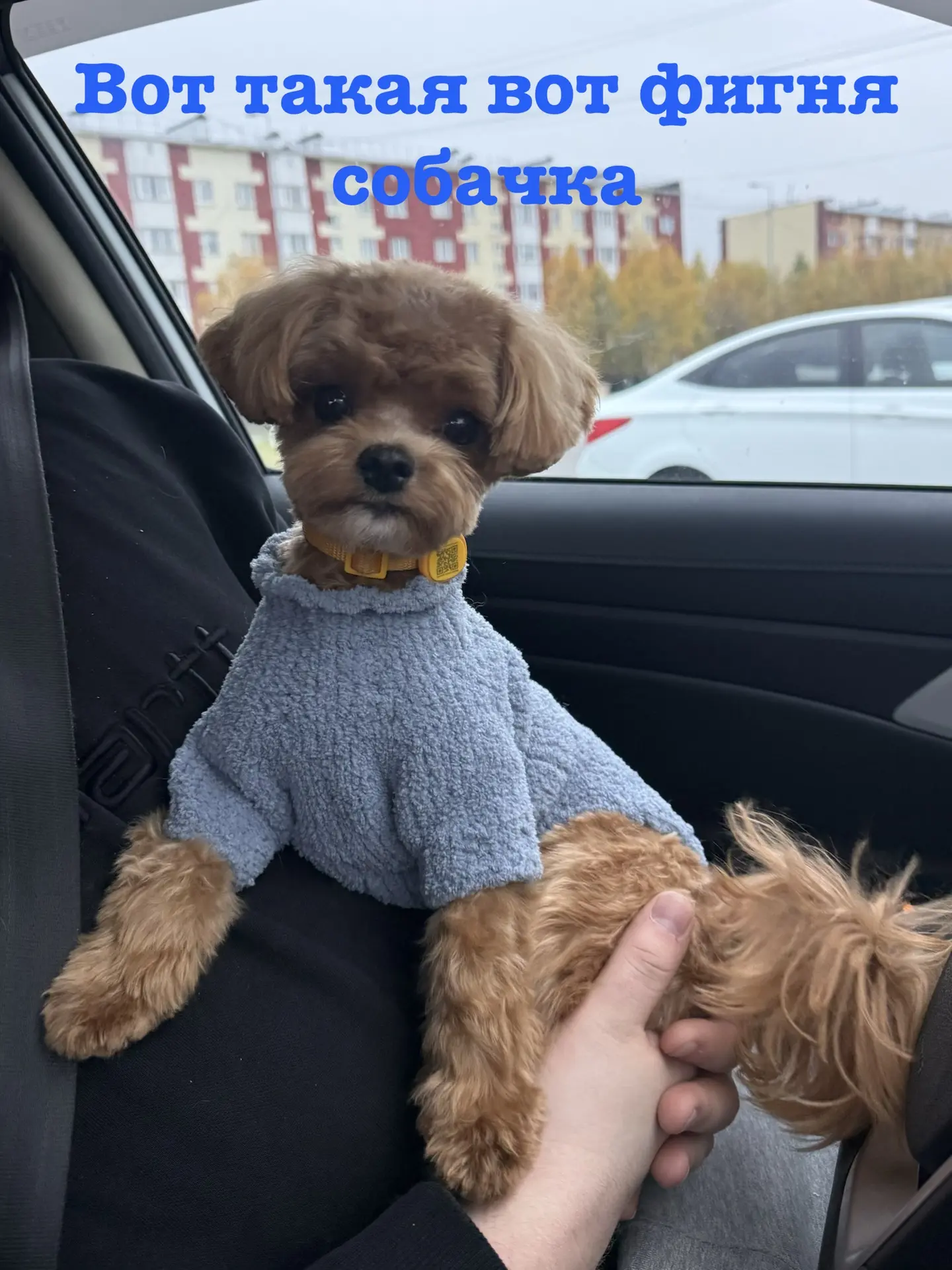 Прекрасного понедельника 🌟