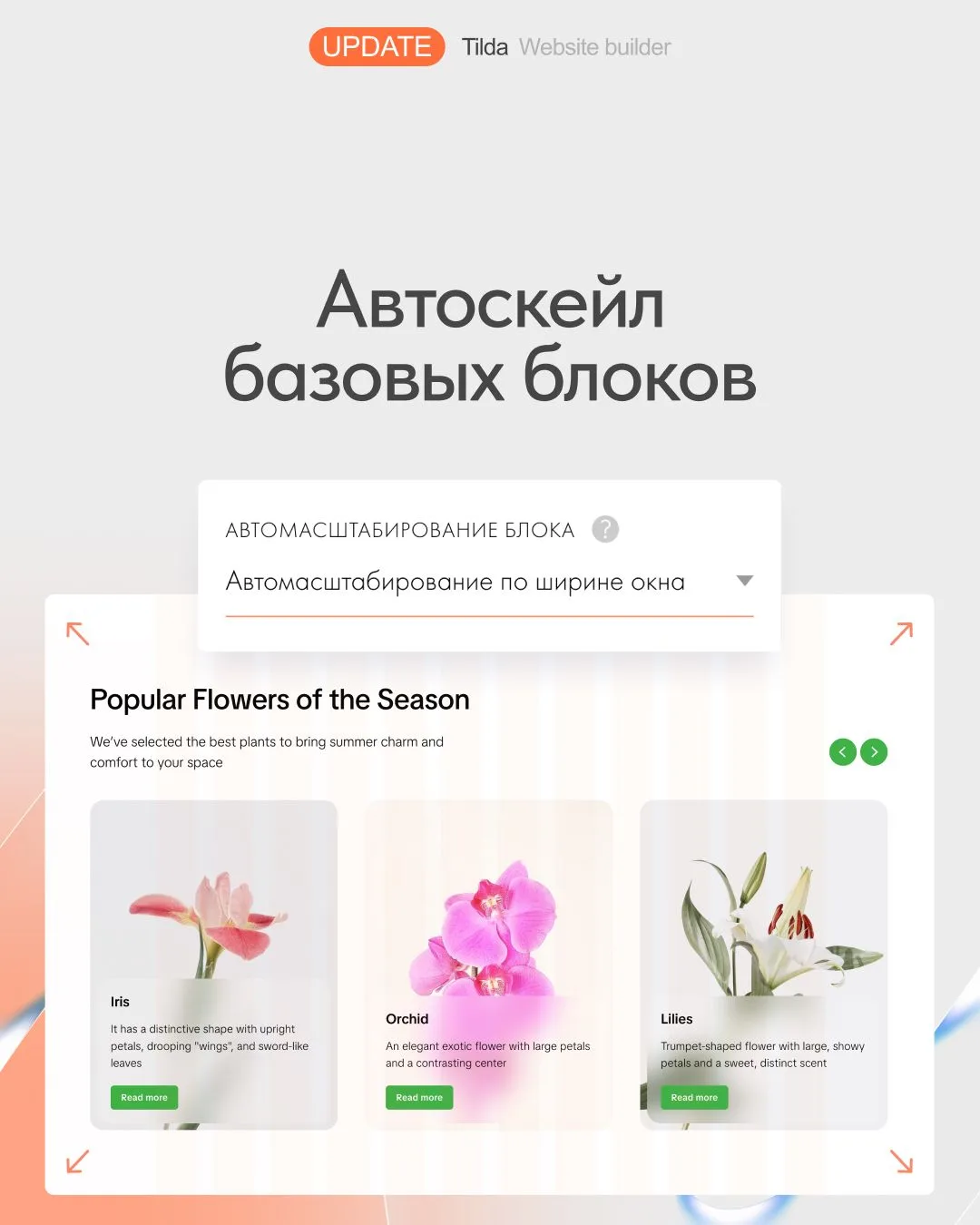 🆕 Автоскейл базовых блоков