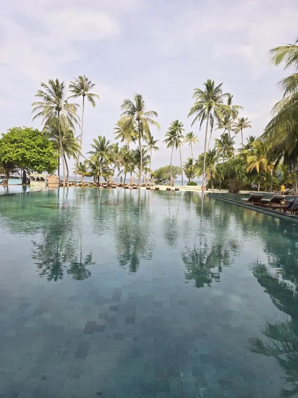 🌴 SIYAM WORLD MALDIVES 5⭐️ — МАЛЬДИВЫ, ГДЕ СКУЧНО НЕ БЫВАЕТ   

  Без перелёта 

12.09💰 160 000 RU