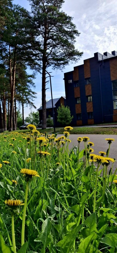 Доброе утро ☀