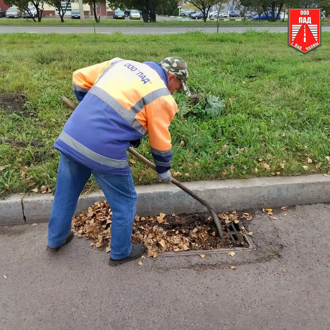 🍂🍃Опавшие листья: красиво или опасно?