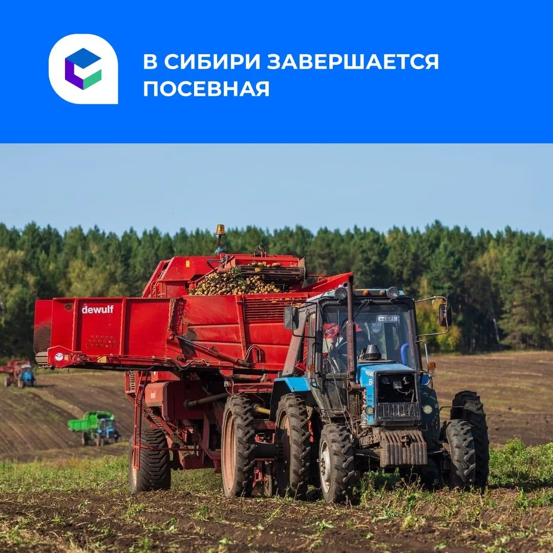 Посевная в Сибири подходит к концу.

В регионах СФО яровыми культурами уже засеяно почти 94% от план