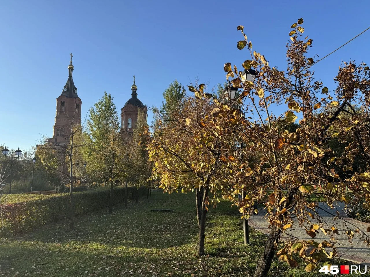Мухоморы и золотая листва!