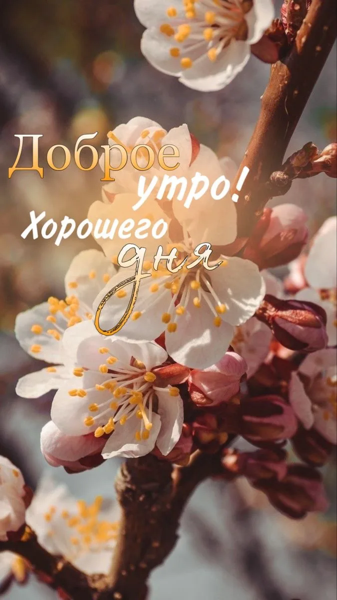 #доброеутро