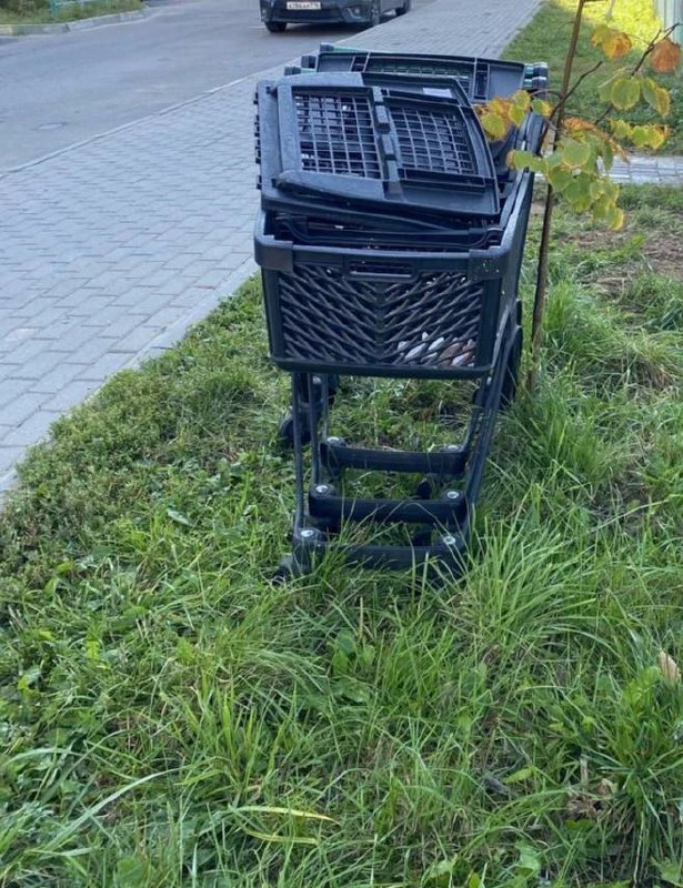 🛒 Жительница Жуковского требует штраф для «Перекрёстка» из-за разбросанных тележек